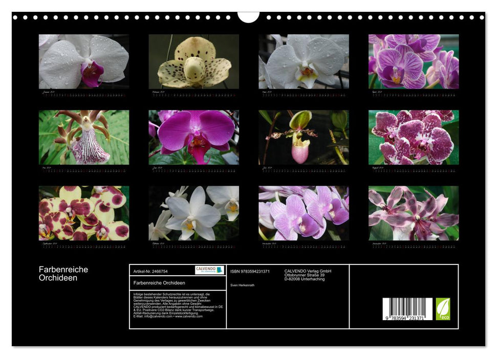 Farbenreiche Orchideen (CALVENDO Wandkalender 2027)