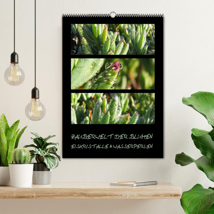 ZAUBERWELT DER BLUMEN - EISKRISTALLE & WASSERPERLEN (CALVENDO Wandkalender 2027)