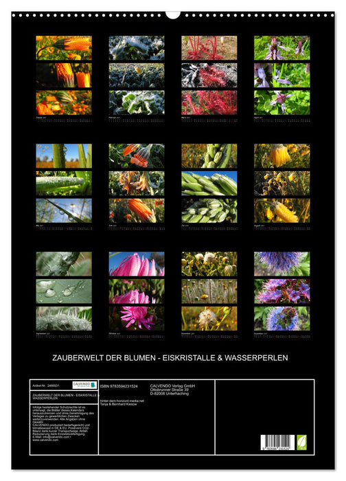 ZAUBERWELT DER BLUMEN - EISKRISTALLE & WASSERPERLEN (CALVENDO Wandkalender 2027)