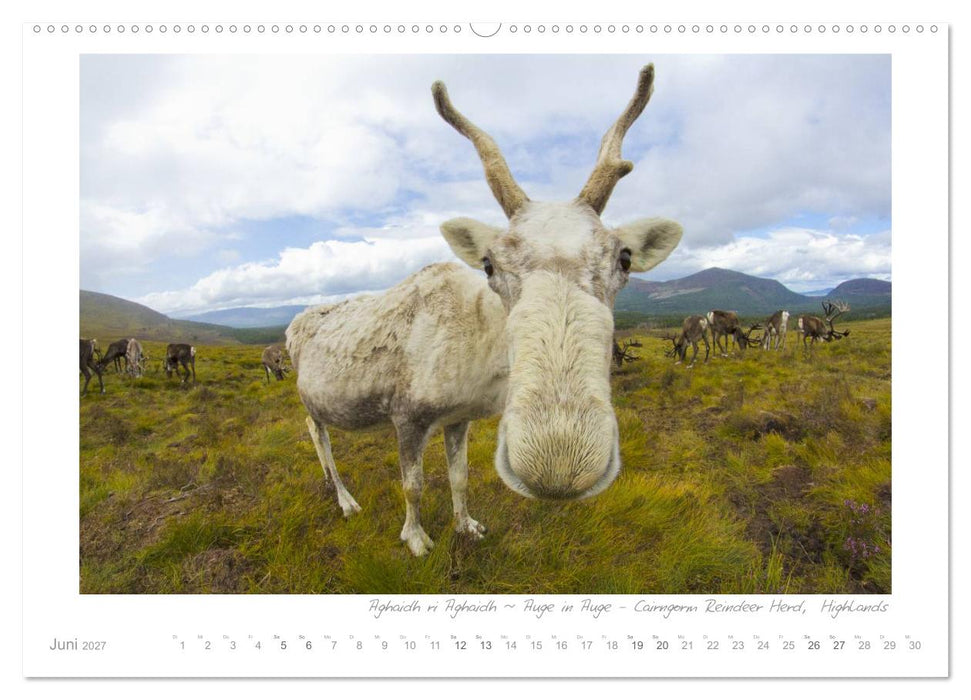 Sehnsucht Schottland (CALVENDO Wandkalender 2027)