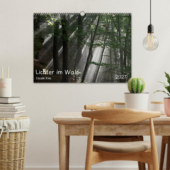 Lichter im Wald (CALVENDO Wandkalender 2027)