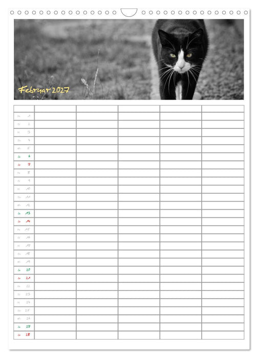 Miezekatzen Planungskalender (CALVENDO Wandkalender 2027)