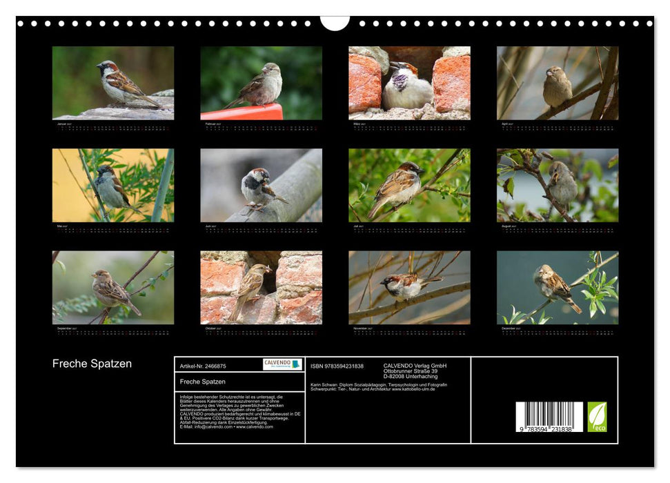 Freche Spatzen (CALVENDO Wandkalender 2027)