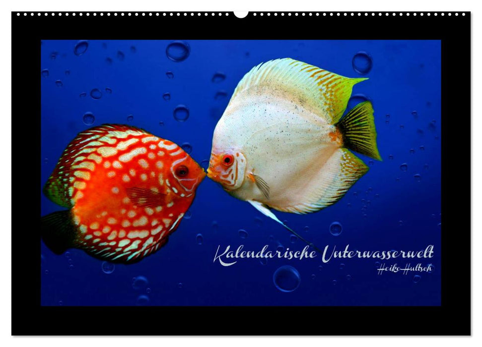 Kalendarische Unterwasserwelt (CALVENDO Wandkalender 2027)