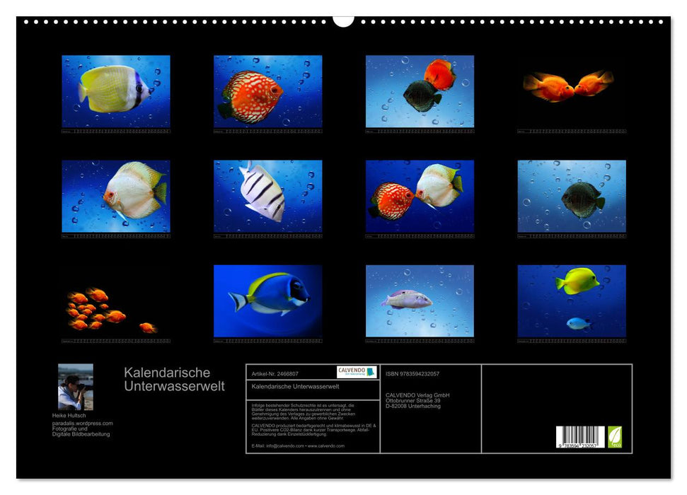 Kalendarische Unterwasserwelt (CALVENDO Wandkalender 2027)