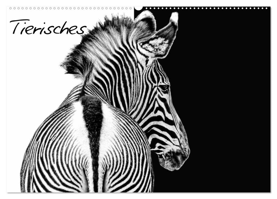 Tierisches (CALVENDO Wandkalender 2027)