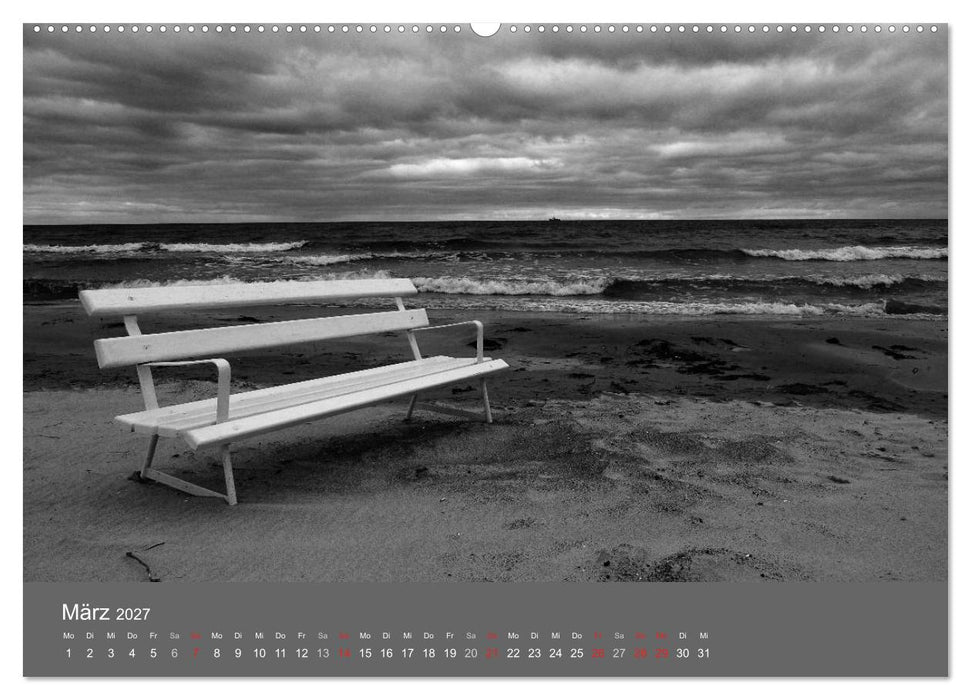 Ostsee - von schwarz bis weiß (CALVENDO Wandkalender 2027)