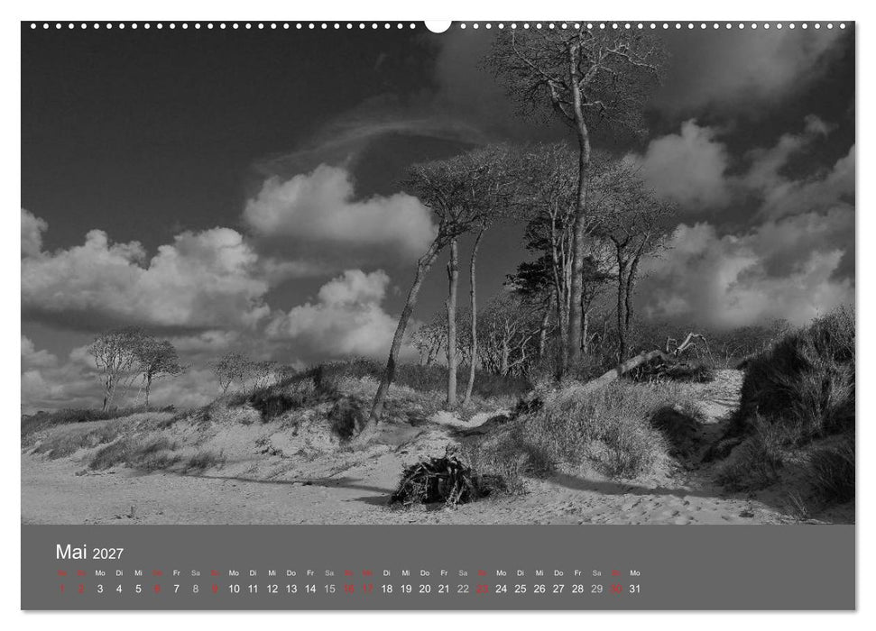 Ostsee - von schwarz bis weiß (CALVENDO Wandkalender 2027)
