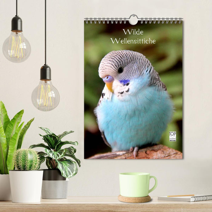 Wilde Wellensittiche (CALVENDO Wandkalender 2027)