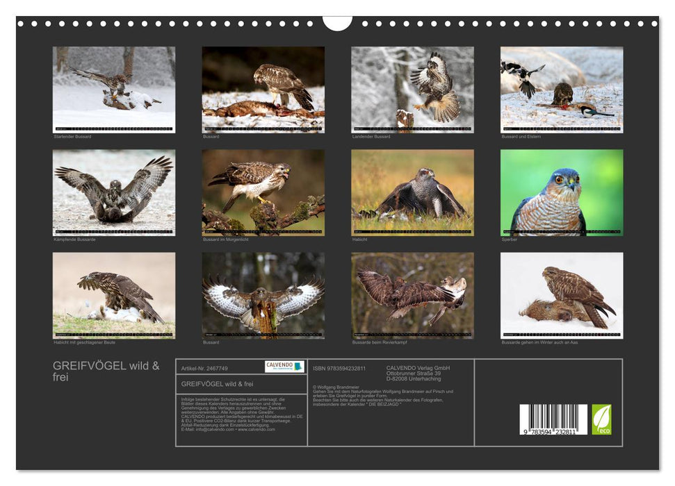 GREIFVÖGEL wild & frei (CALVENDO Wandkalender 2027)