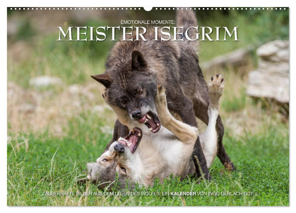 Meister Isegrim (CALVENDO Wandkalender 2027)