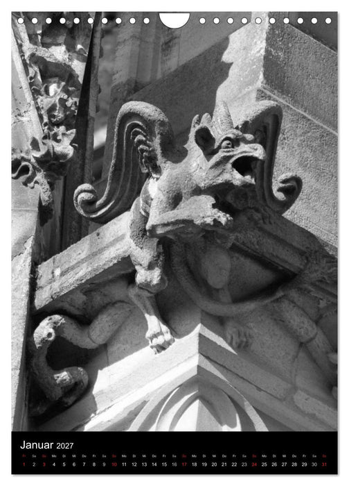 Wasserspeier am Ulmer Münster (CALVENDO Wandkalender 2027)