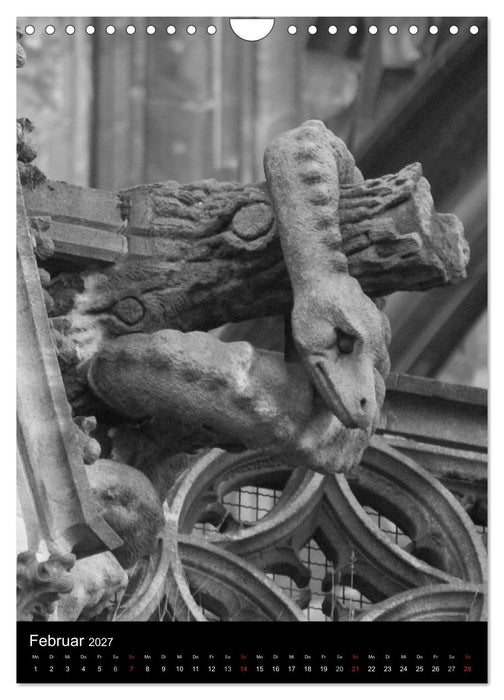 Wasserspeier am Ulmer Münster (CALVENDO Wandkalender 2027)