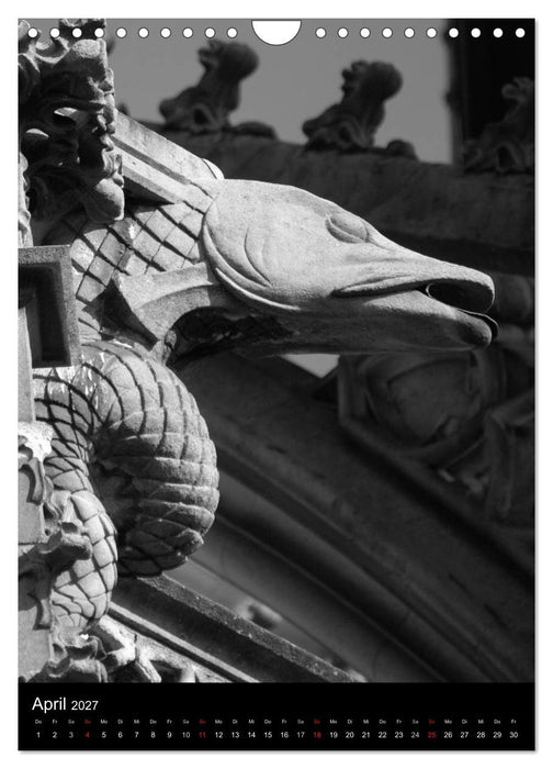 Wasserspeier am Ulmer Münster (CALVENDO Wandkalender 2027)
