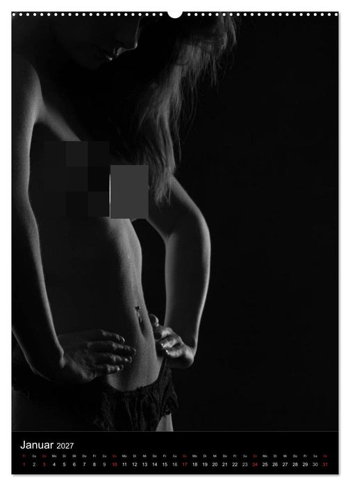 Erotische Silhouetten (CALVENDO Wandkalender 2027)