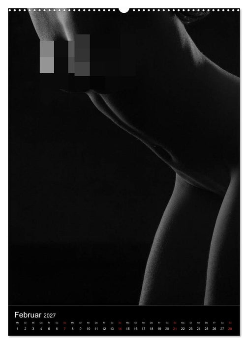 Erotische Silhouetten (CALVENDO Wandkalender 2027)