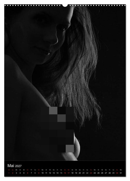 Erotische Silhouetten (CALVENDO Wandkalender 2027)