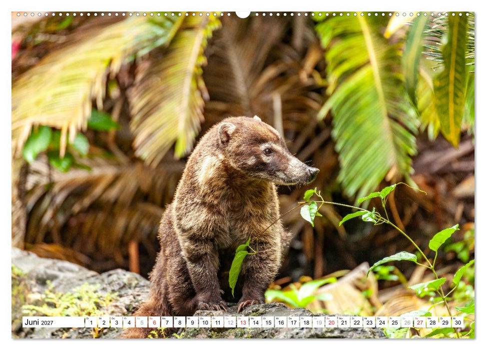 Costa Rica (CALVENDO Wandkalender 2027)