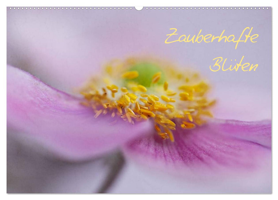 Zauberhafte Blüten (CALVENDO Wandkalender 2027)
