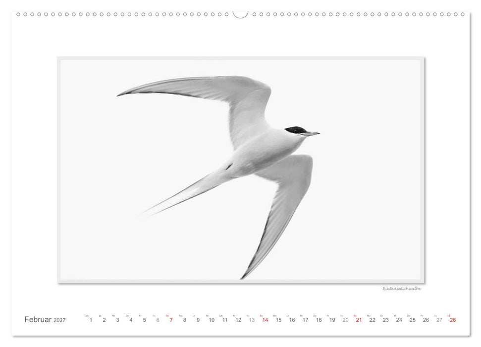 Spitzbergen Svalbard (CALVENDO Wandkalender 2027)