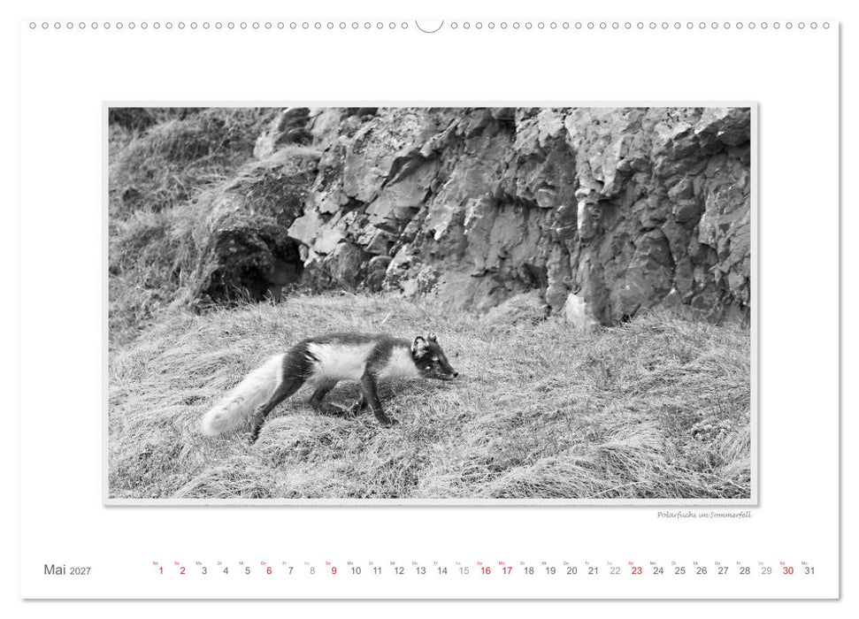 Spitzbergen Svalbard (CALVENDO Wandkalender 2027)