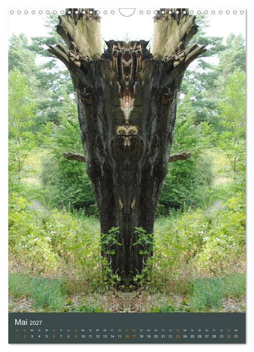 Spiegelwelten - Botschaften der Naturwesen (CALVENDO Wandkalender 2027)