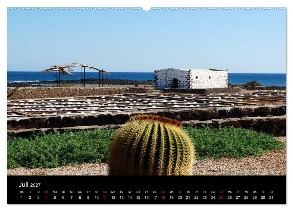 Fuerteventura (CALVENDO Premium Wandkalender 2027)