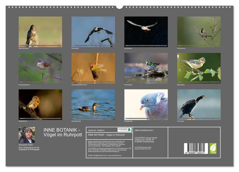 INNE BOTANIK - Vögel im Ruhrpott (CALVENDO Premium Wandkalender 2027)