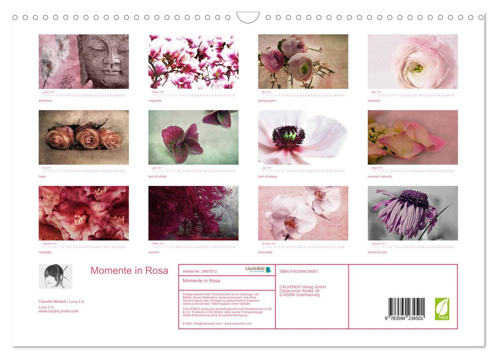 Momente in Rosa (CALVENDO Wandkalender 2027)