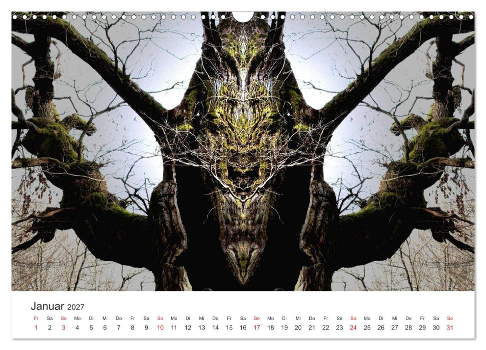 Spiegelwelten - Natur anders sehen (CALVENDO Wandkalender 2027)