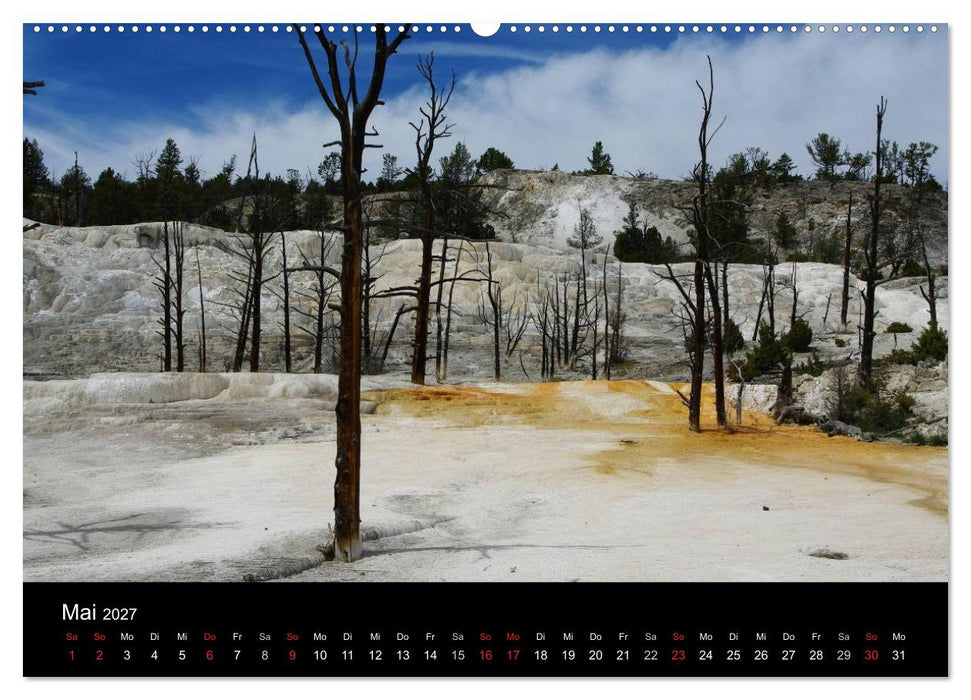 Wyoming! (CALVENDO Wandkalender 2027)