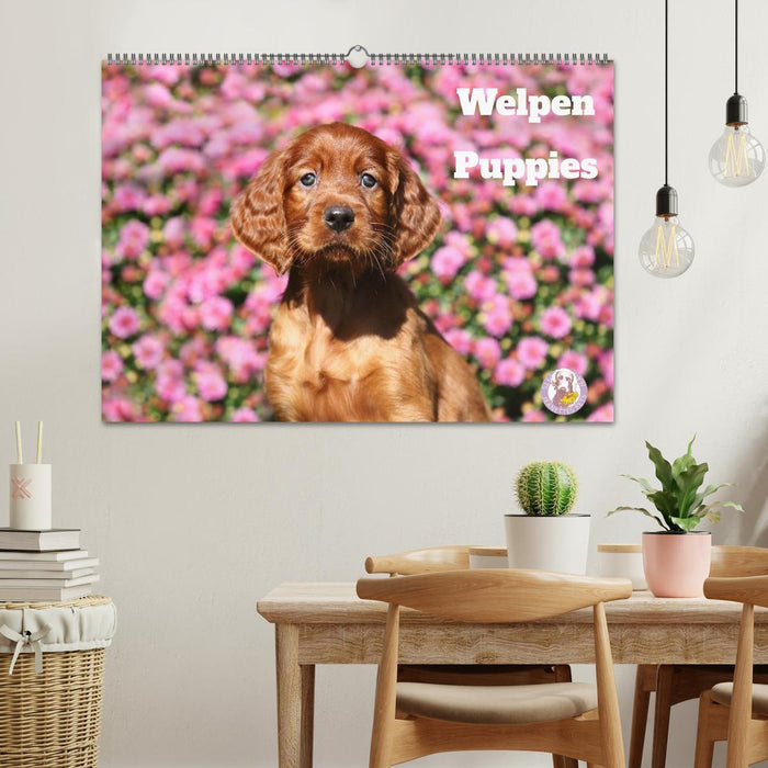 Welpen - Puppies (CALVENDO Wandkalender 2027)