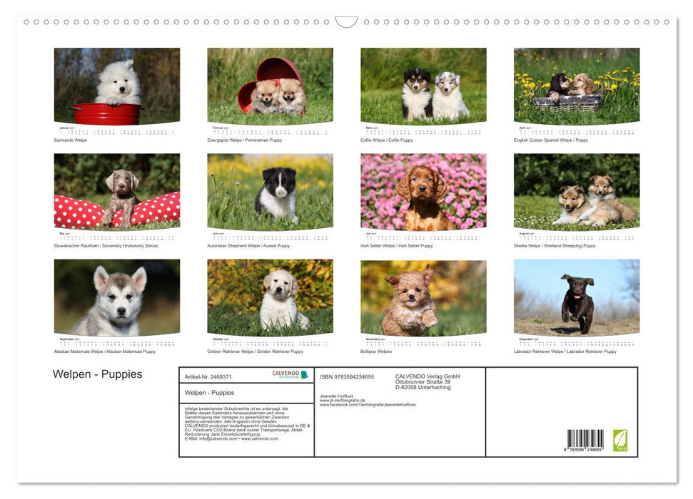 Welpen - Puppies (CALVENDO Wandkalender 2027)