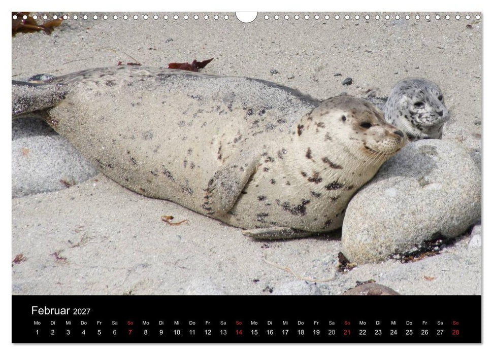 Monterey California (CALVENDO Wandkalender 2027)