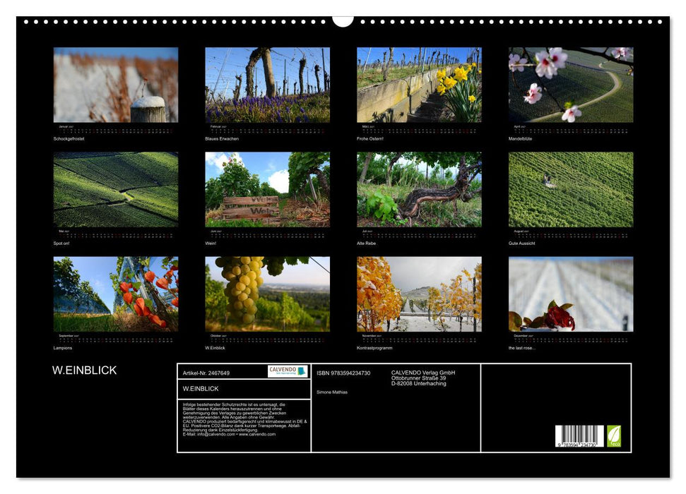 W.EINBLICK (CALVENDO Wandkalender 2027)