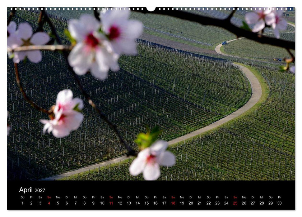 W.EINBLICK (CALVENDO Wandkalender 2027)