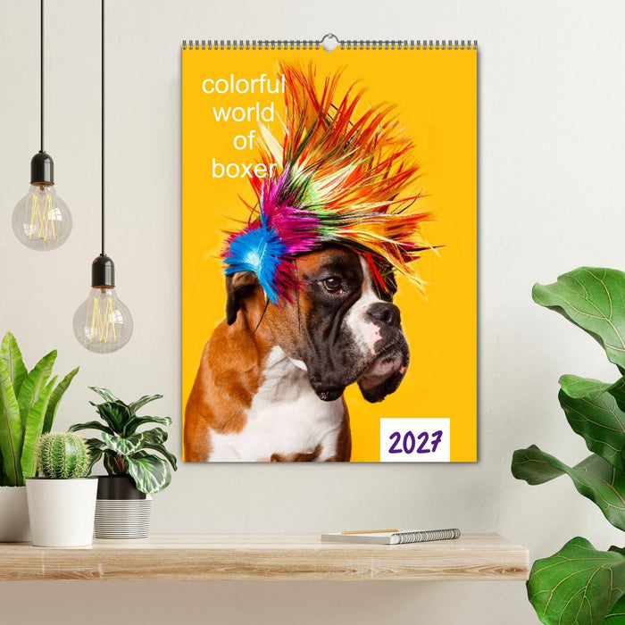 colorful world of boxer 2027 (CALVENDO Wandkalender 2027)