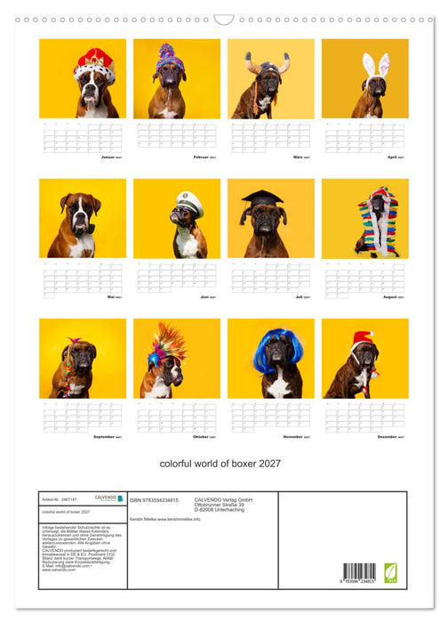 colorful world of boxer 2027 (CALVENDO Wandkalender 2027)
