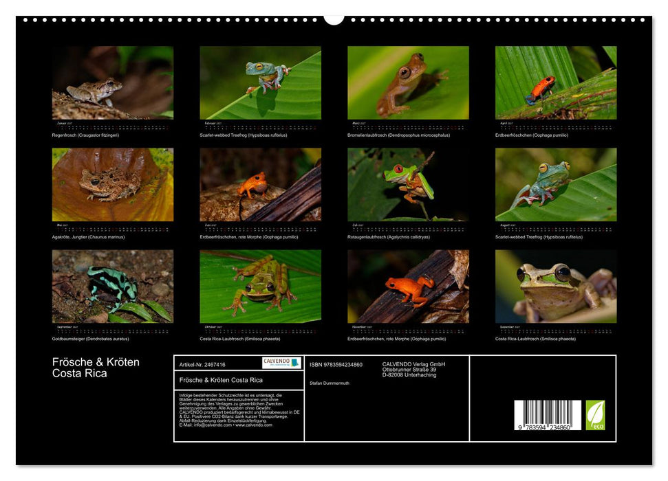 Frösche & Kröten Costa Rica (CALVENDO Premium Wandkalender 2027)