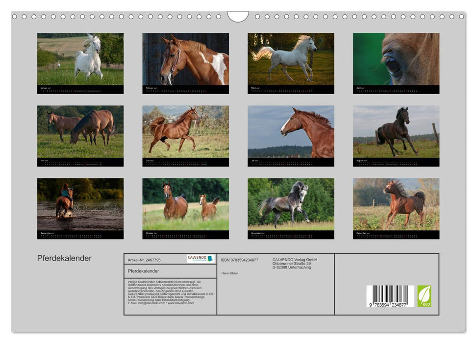 Pferdekalender (CALVENDO Wandkalender 2027)