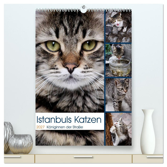 Istanbuls Katzen (CALVENDO Premium Wandkalender 2027)