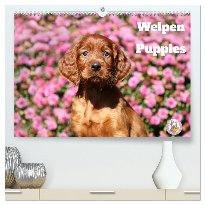 Welpen - Puppies (CALVENDO Premium Wandkalender 2027)