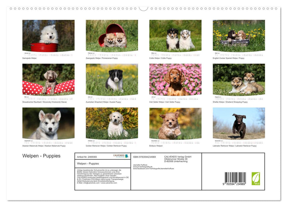 Welpen - Puppies (CALVENDO Premium Wandkalender 2027)