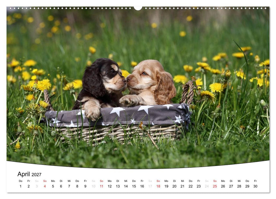 Welpen - Puppies (CALVENDO Premium Wandkalender 2027)