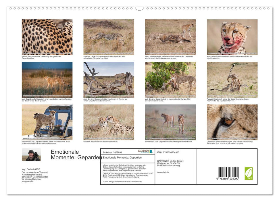 Emotionale Momente: Geparden (CALVENDO Premium Wandkalender 2027)
