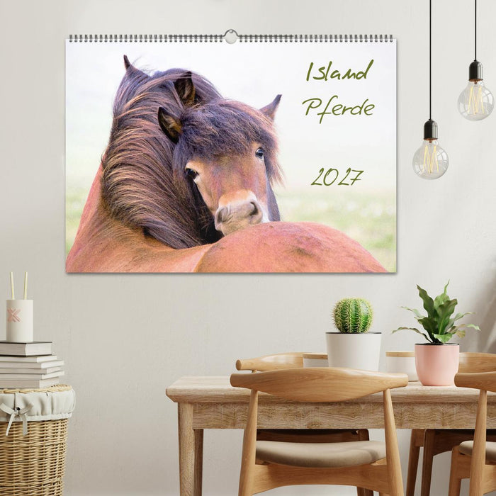 Islandpferde (CALVENDO Wandkalender 2027)