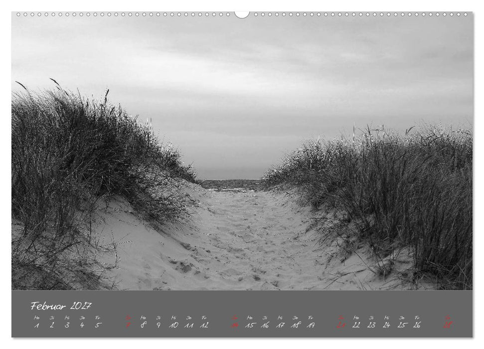 Wege zum Meer (CALVENDO Wandkalender 2027)
