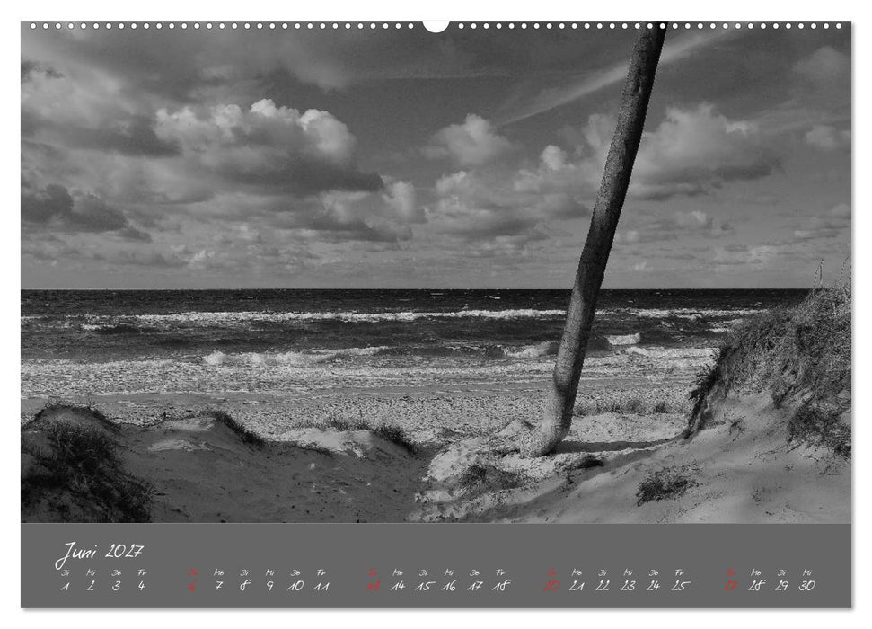 Wege zum Meer (CALVENDO Wandkalender 2027)