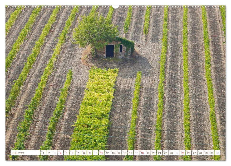 Toskana - Goldene Farben des toskanischen Herbstes (CALVENDO Premium Wandkalender 2027)