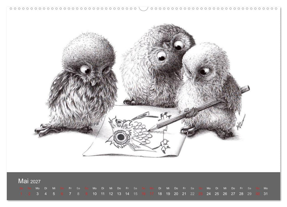 owls & friends 2027 (CALVENDO Premium Wandkalender 2027)